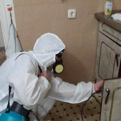 Дезинфекция от муравьев в квартире в Тырныаузе
