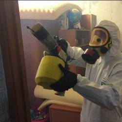 Уничтожение клопов в квартире. Тырныауз